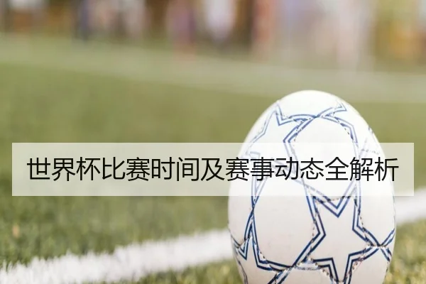 世界杯比赛时间及赛事动态全解析