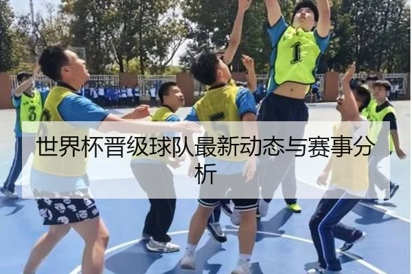 世界杯晋级球队最新动态与赛事分析