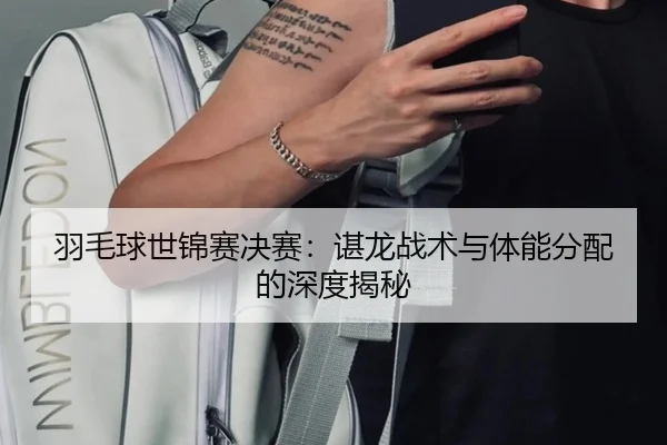 羽毛球世锦赛决赛：谌龙战术与体能分配的深度揭秘