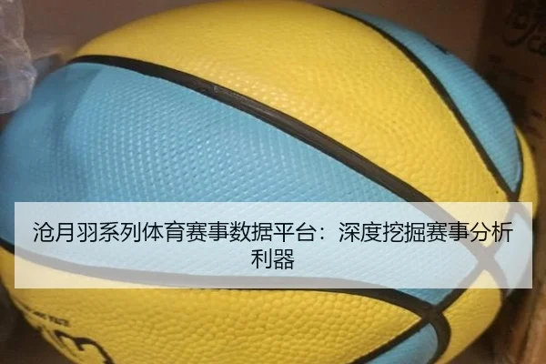 沧月羽系列体育赛事数据平台：深度挖掘赛事分析利器