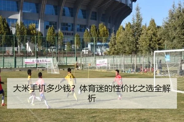 大米手机多少钱？体育迷的性价比之选全解析